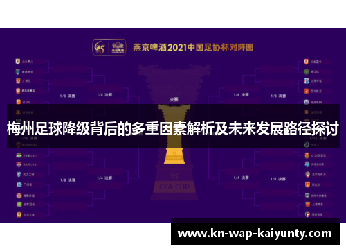 梅州足球降级背后的多重因素解析及未来发展路径探讨