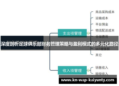 深度剖析足球俱乐部财务管理策略与盈利模式的多元化路径