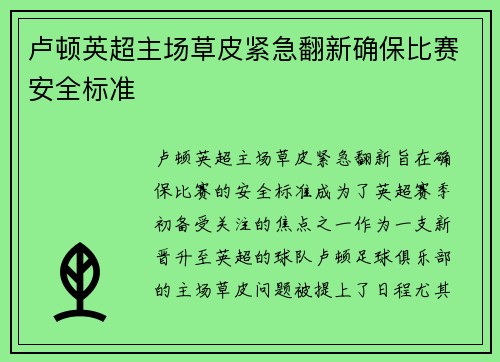 卢顿英超主场草皮紧急翻新确保比赛安全标准